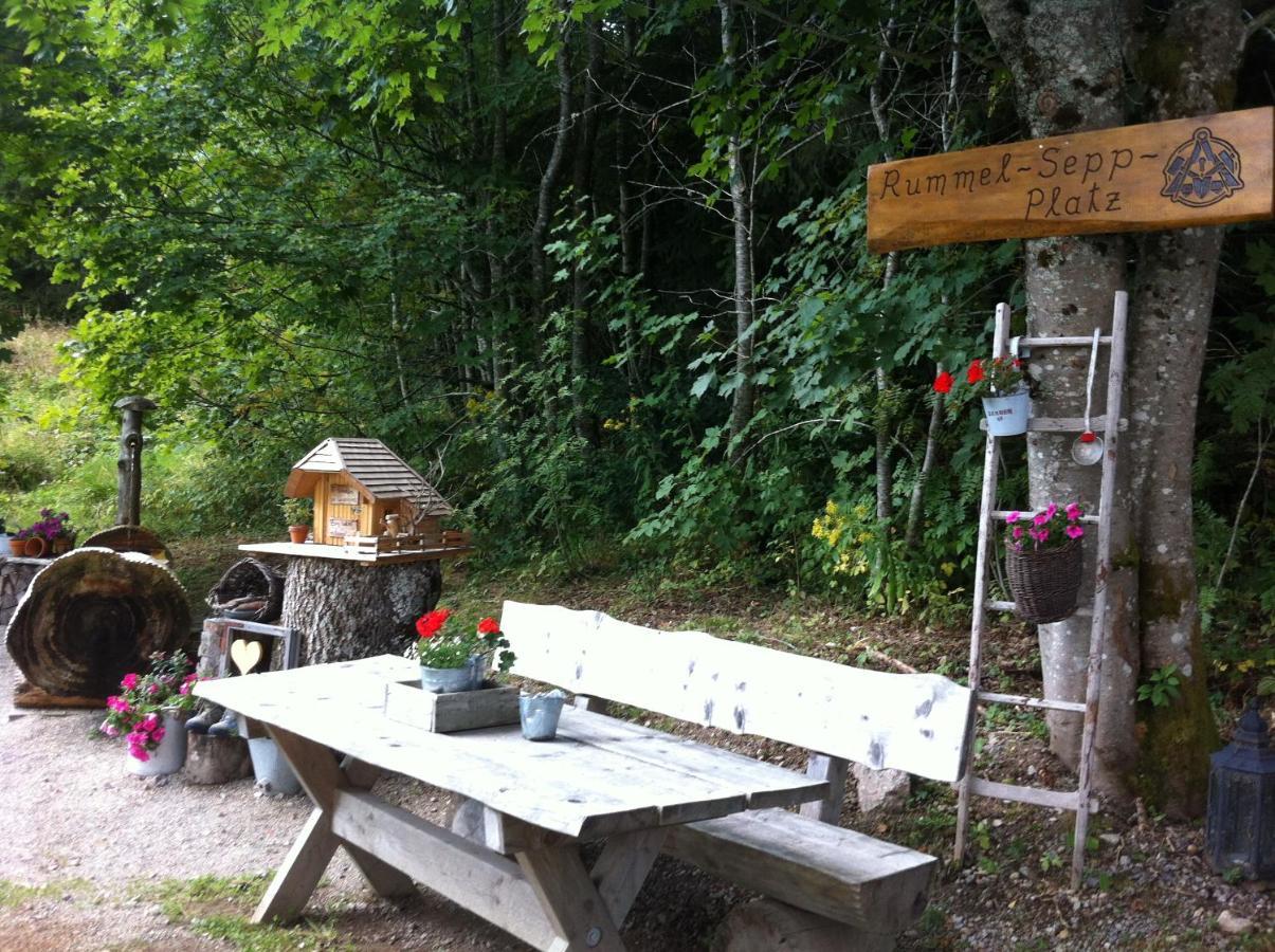 Ferienwohnung Waldblick Todtnau Buitenkant foto