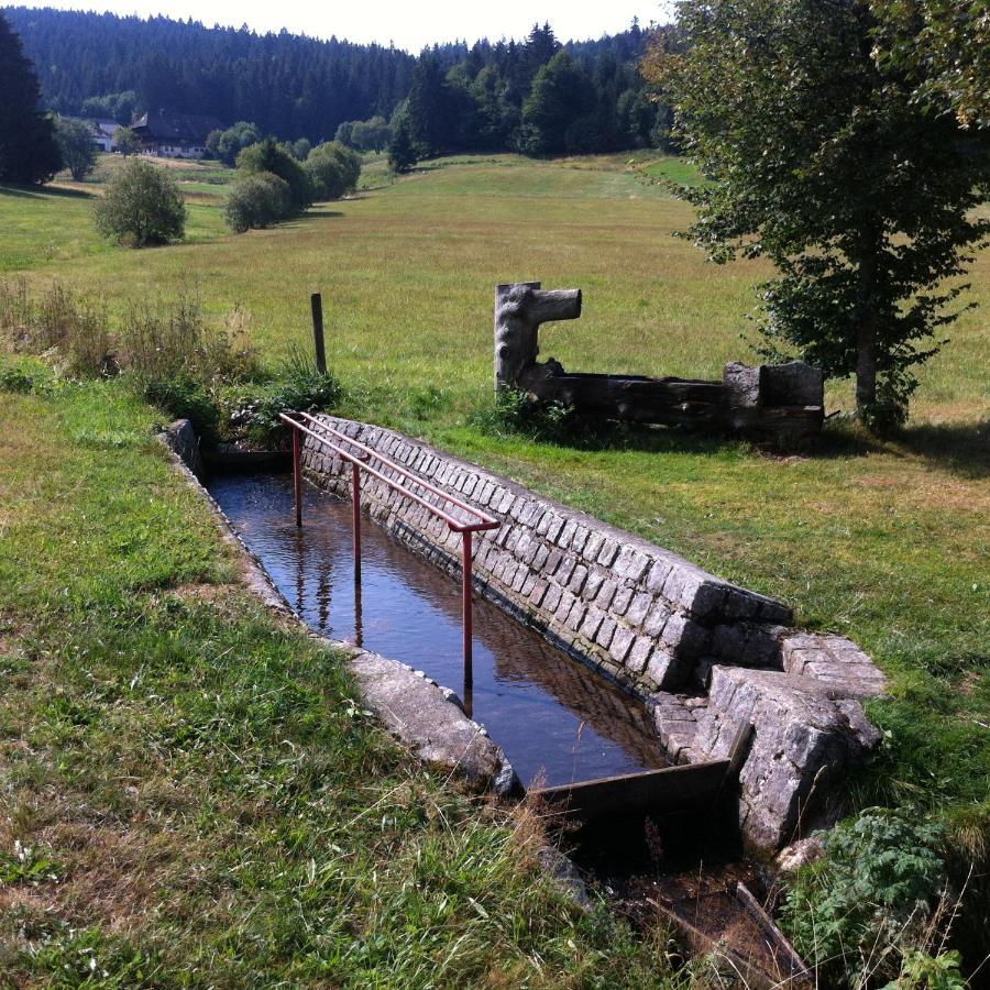 Ferienwohnung Waldblick Todtnau Buitenkant foto