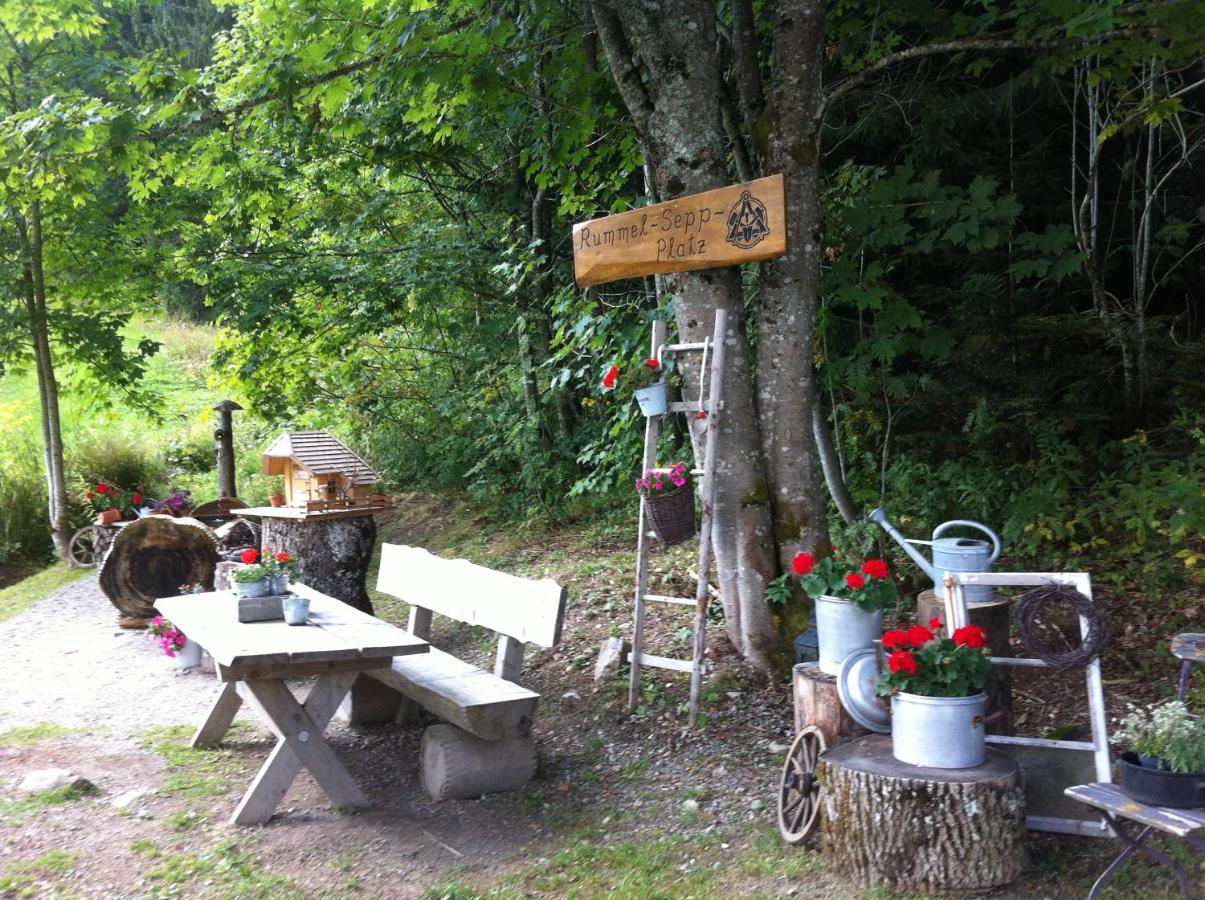 Ferienwohnung Waldblick Todtnau Buitenkant foto